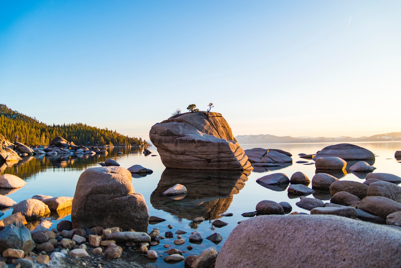 Foundation Stones: The 12 Apostles and the Mission of the Church